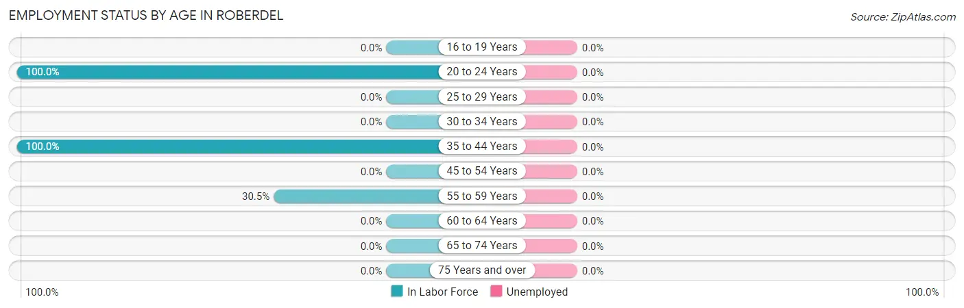 Employment Status by Age in Roberdel