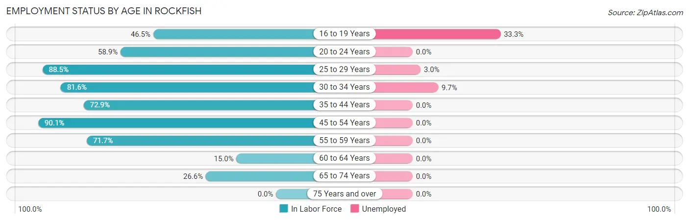 Employment Status by Age in Rockfish