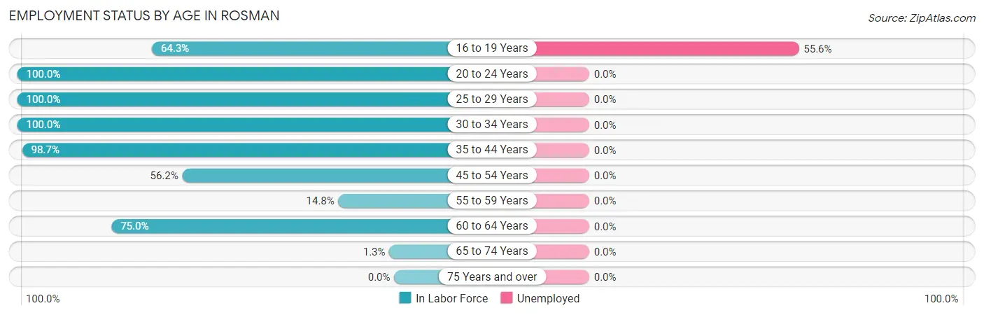 Employment Status by Age in Rosman