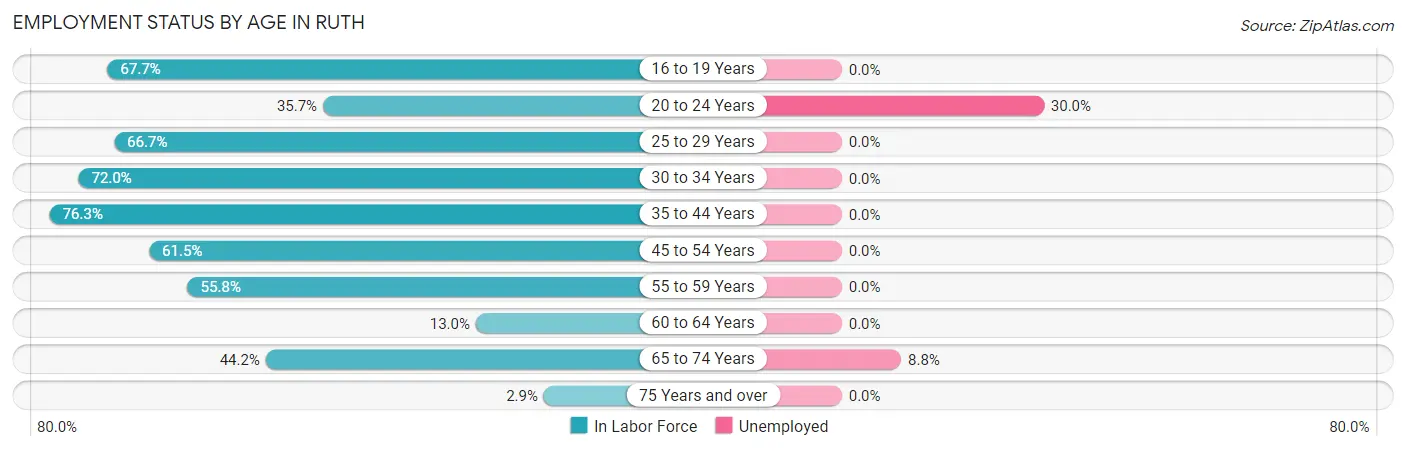 Employment Status by Age in Ruth