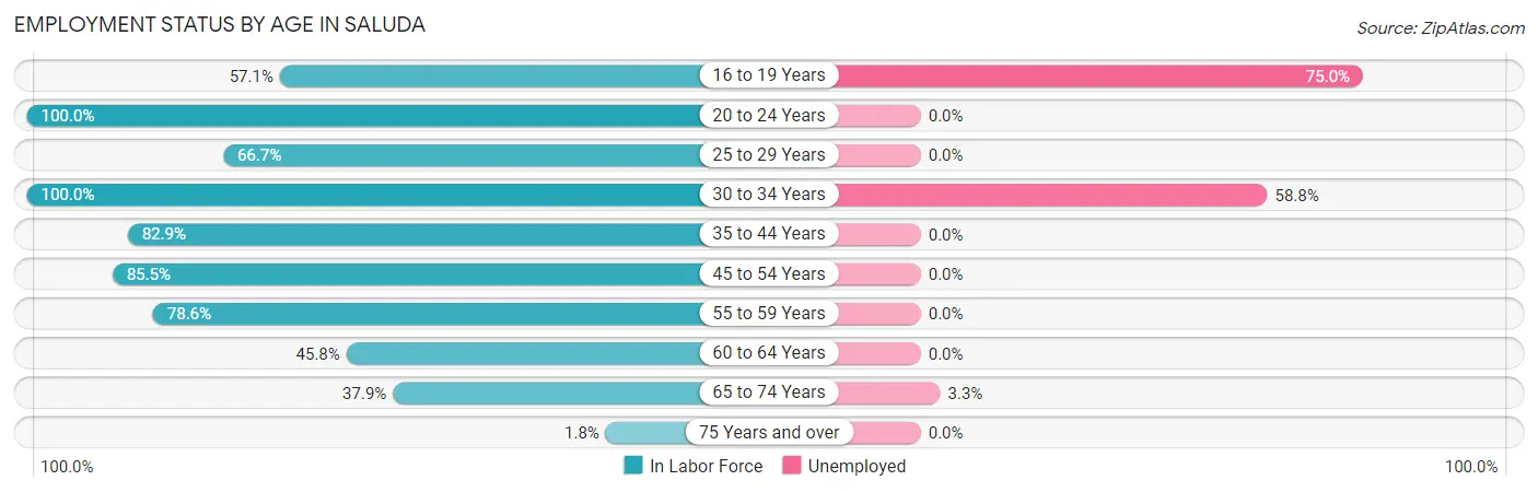Employment Status by Age in Saluda