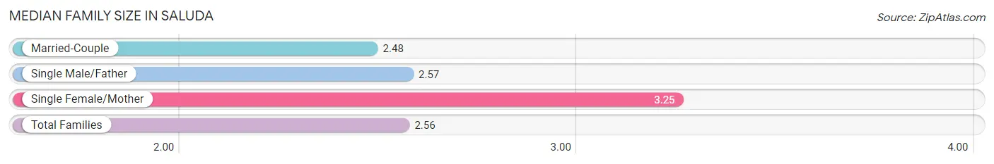 Median Family Size in Saluda