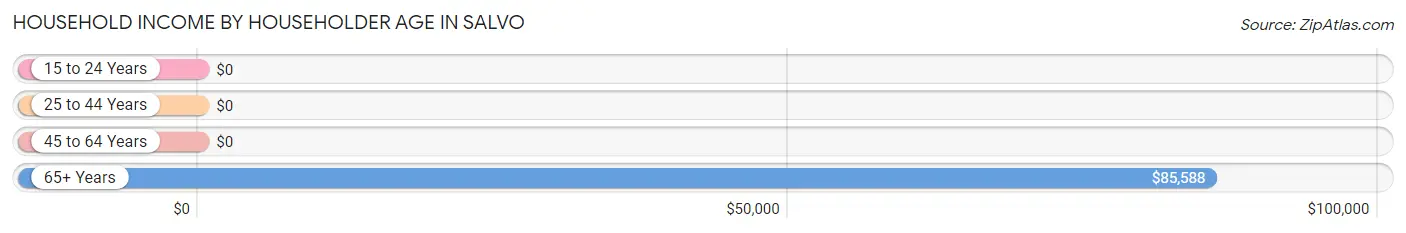 Household Income by Householder Age in Salvo