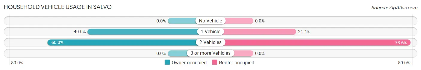 Household Vehicle Usage in Salvo