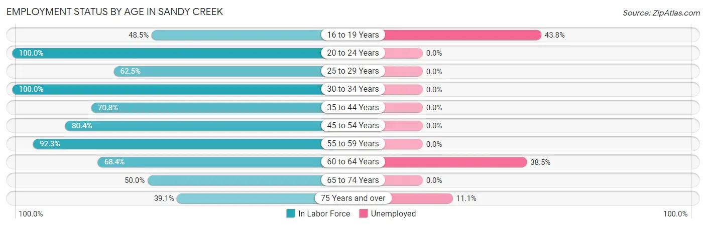 Employment Status by Age in Sandy Creek