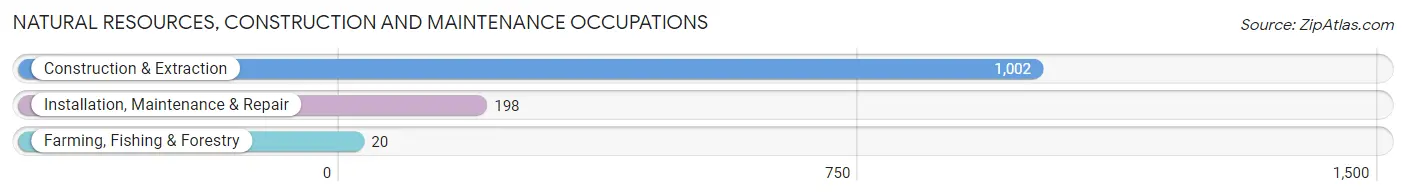 Natural Resources, Construction and Maintenance Occupations in Sanford