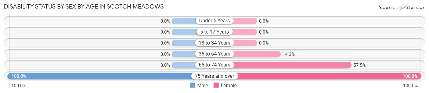 Disability Status by Sex by Age in Scotch Meadows
