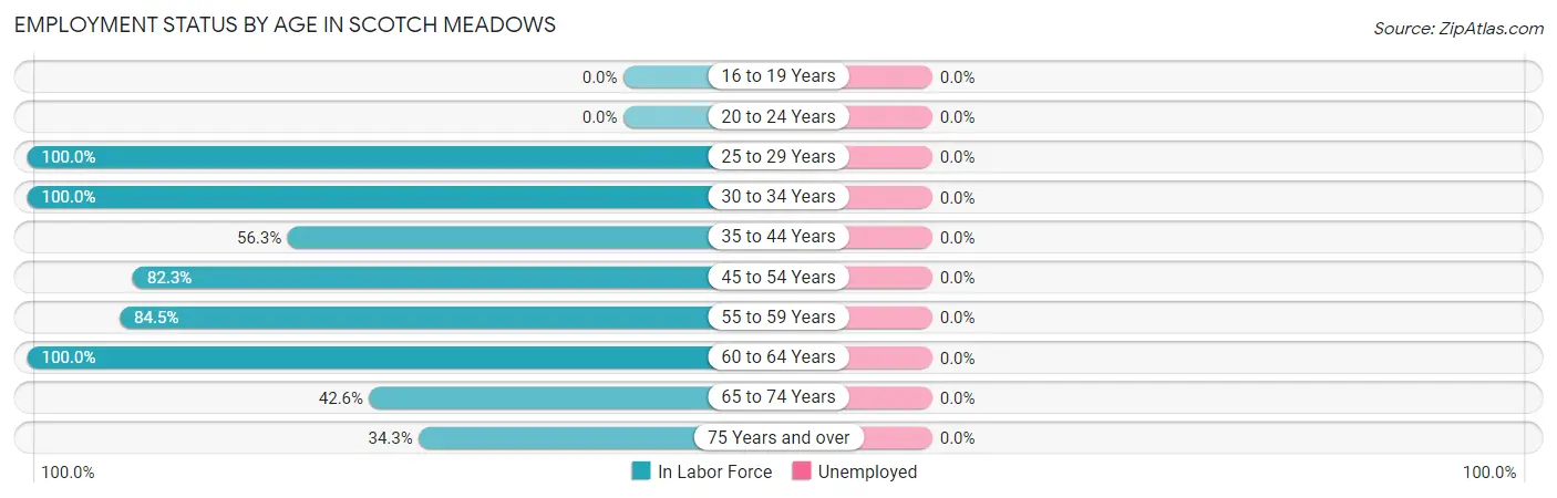 Employment Status by Age in Scotch Meadows