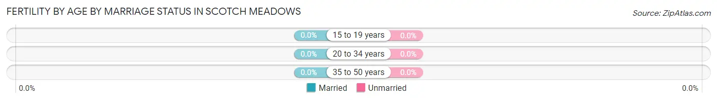 Female Fertility by Age by Marriage Status in Scotch Meadows