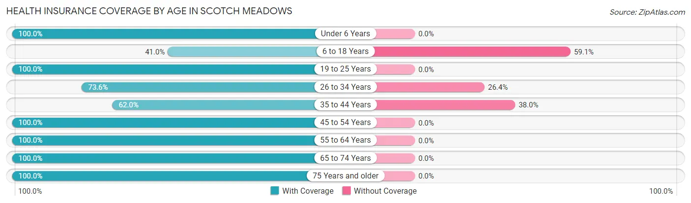 Health Insurance Coverage by Age in Scotch Meadows