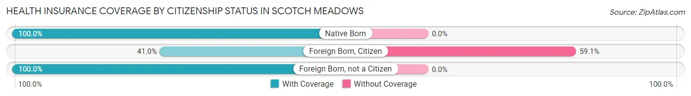 Health Insurance Coverage by Citizenship Status in Scotch Meadows