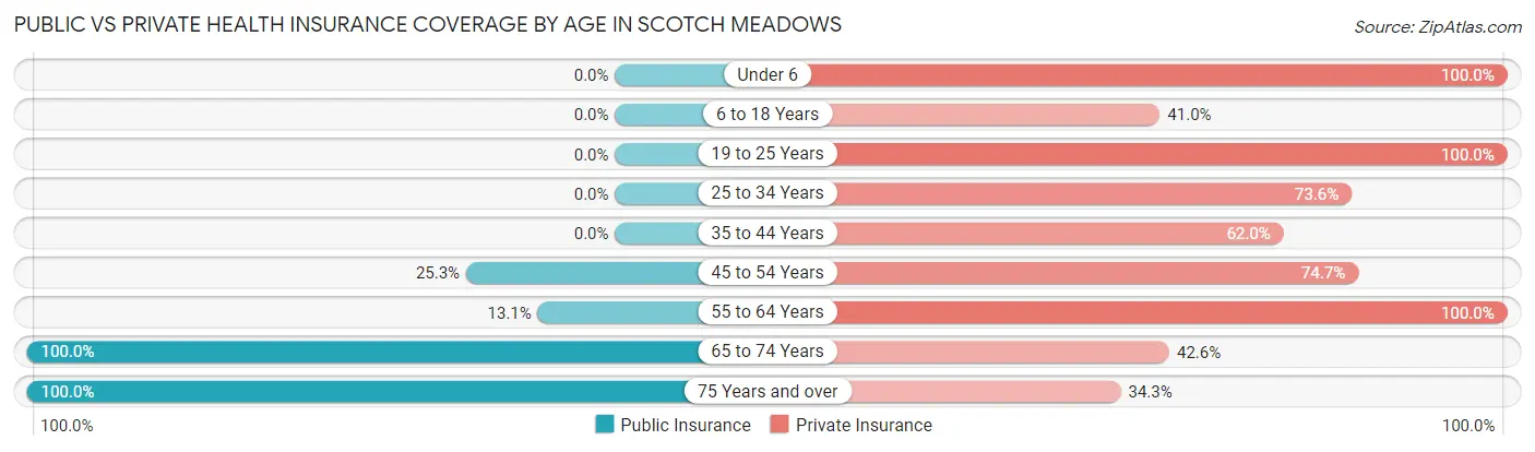 Public vs Private Health Insurance Coverage by Age in Scotch Meadows
