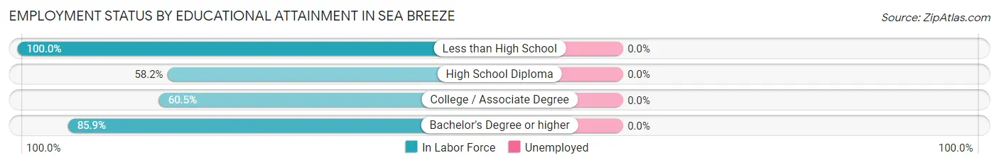 Employment Status by Educational Attainment in Sea Breeze