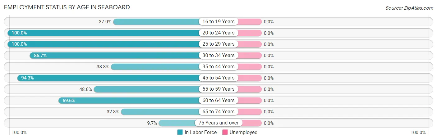 Employment Status by Age in Seaboard