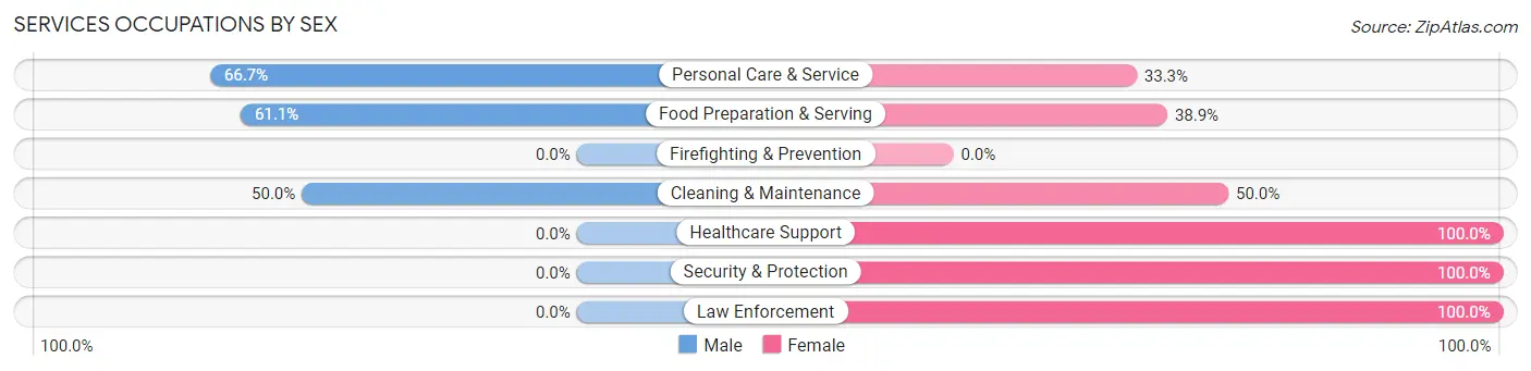 Services Occupations by Sex in Seven Devils