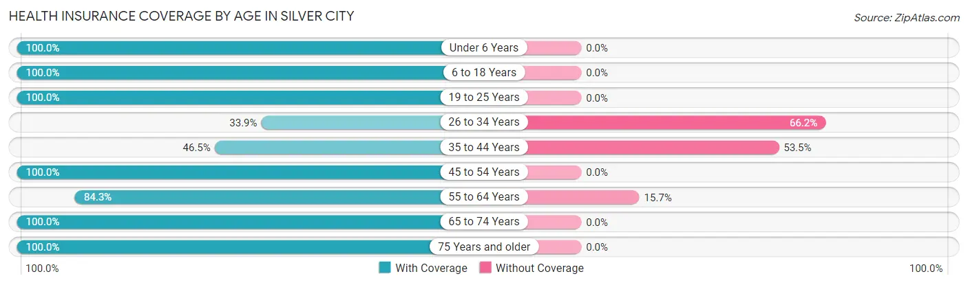 Health Insurance Coverage by Age in Silver City