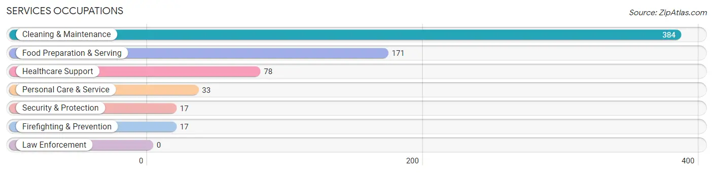 Services Occupations in Silver Lake