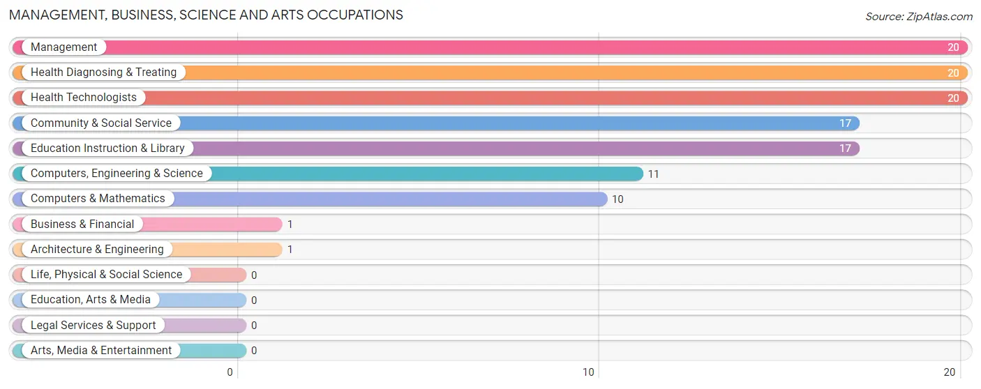 Management, Business, Science and Arts Occupations in Sims