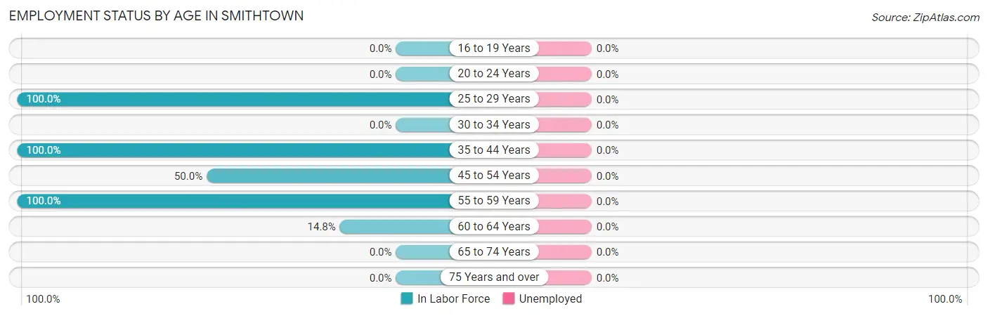 Employment Status by Age in Smithtown