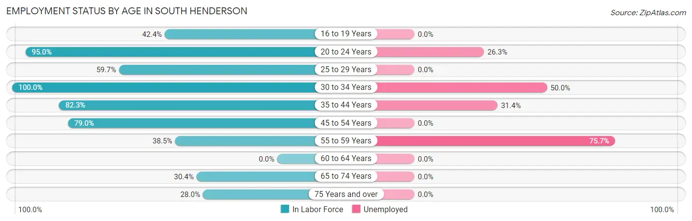 Employment Status by Age in South Henderson