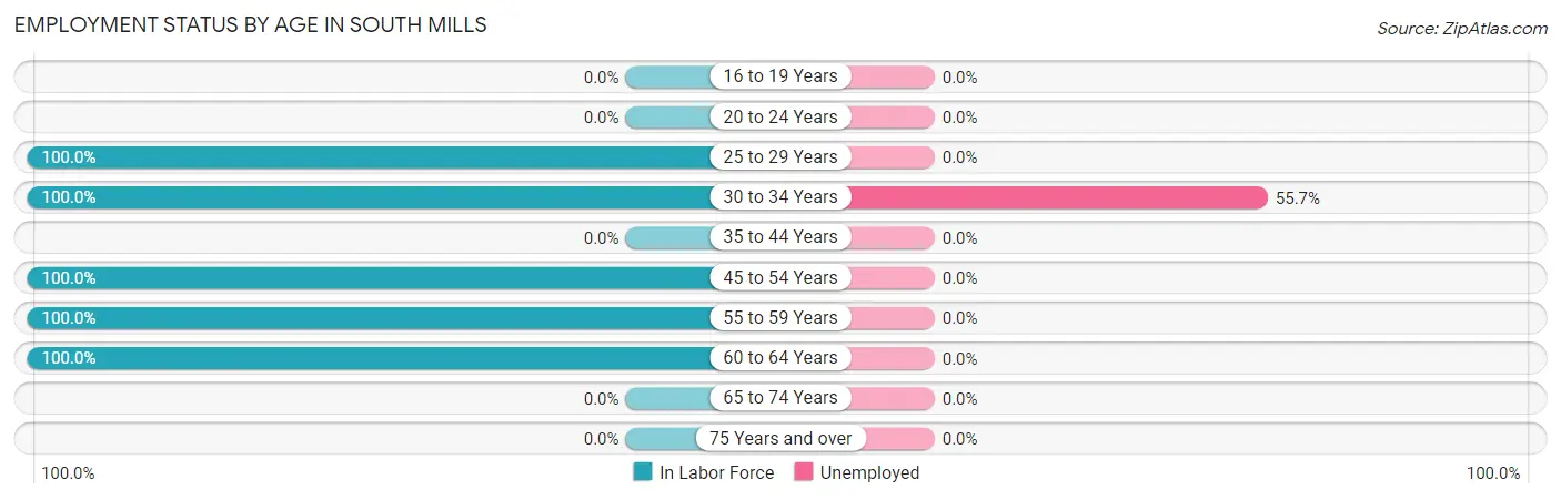 Employment Status by Age in South Mills