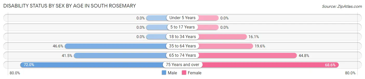 Disability Status by Sex by Age in South Rosemary