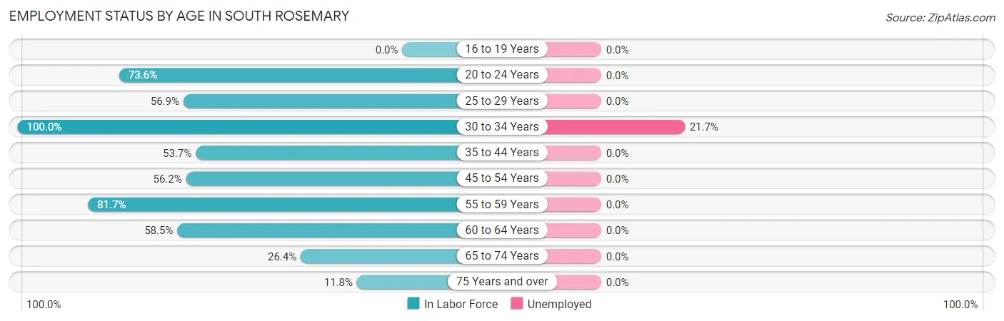 Employment Status by Age in South Rosemary