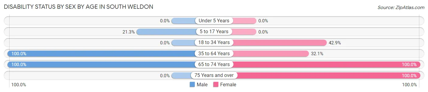 Disability Status by Sex by Age in South Weldon