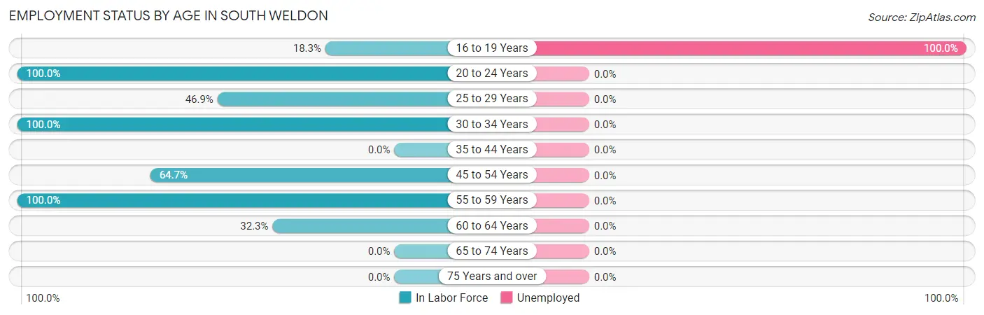 Employment Status by Age in South Weldon
