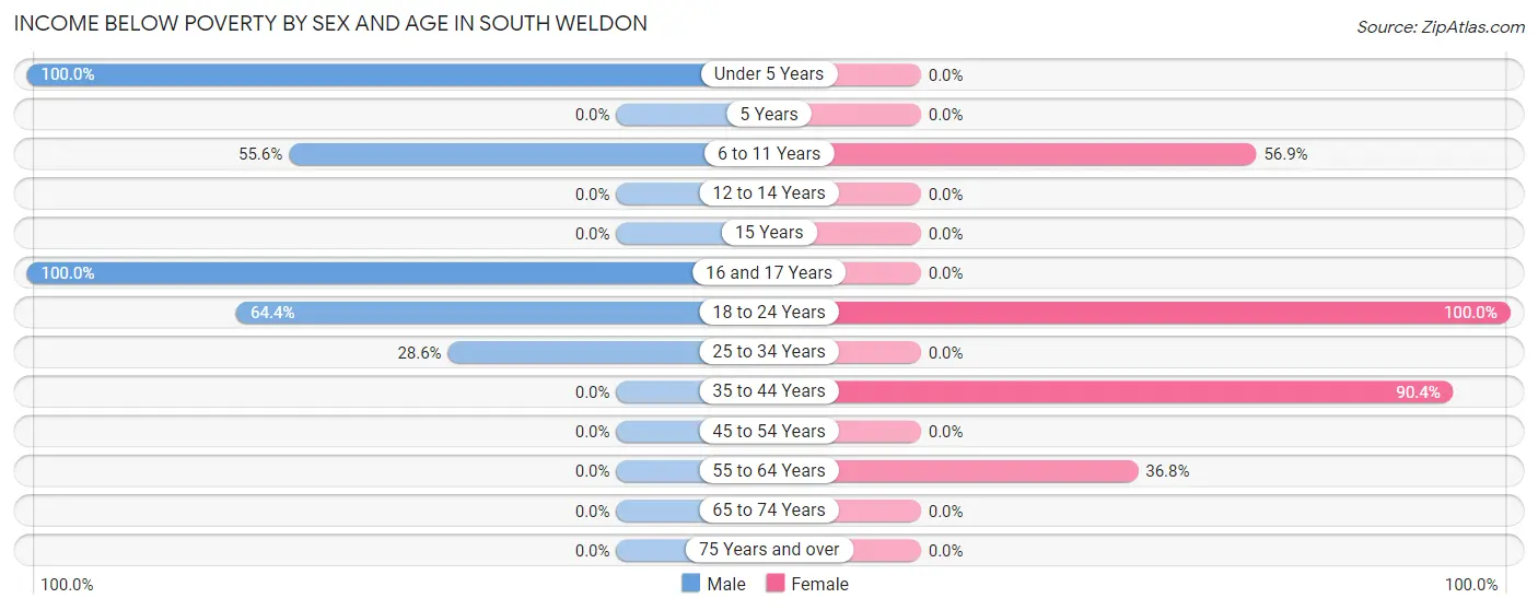 Income Below Poverty by Sex and Age in South Weldon