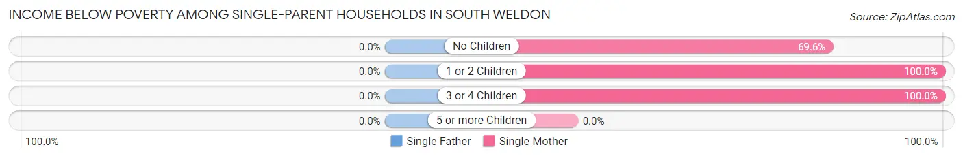 Income Below Poverty Among Single-Parent Households in South Weldon