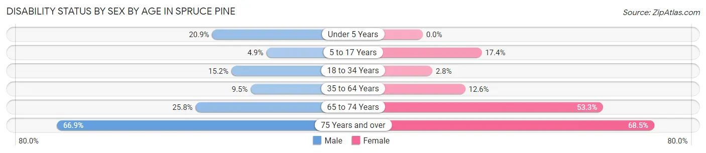 Disability Status by Sex by Age in Spruce Pine