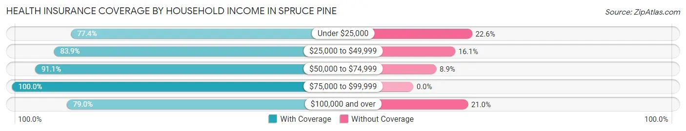 Health Insurance Coverage by Household Income in Spruce Pine