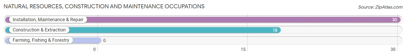 Natural Resources, Construction and Maintenance Occupations in St James