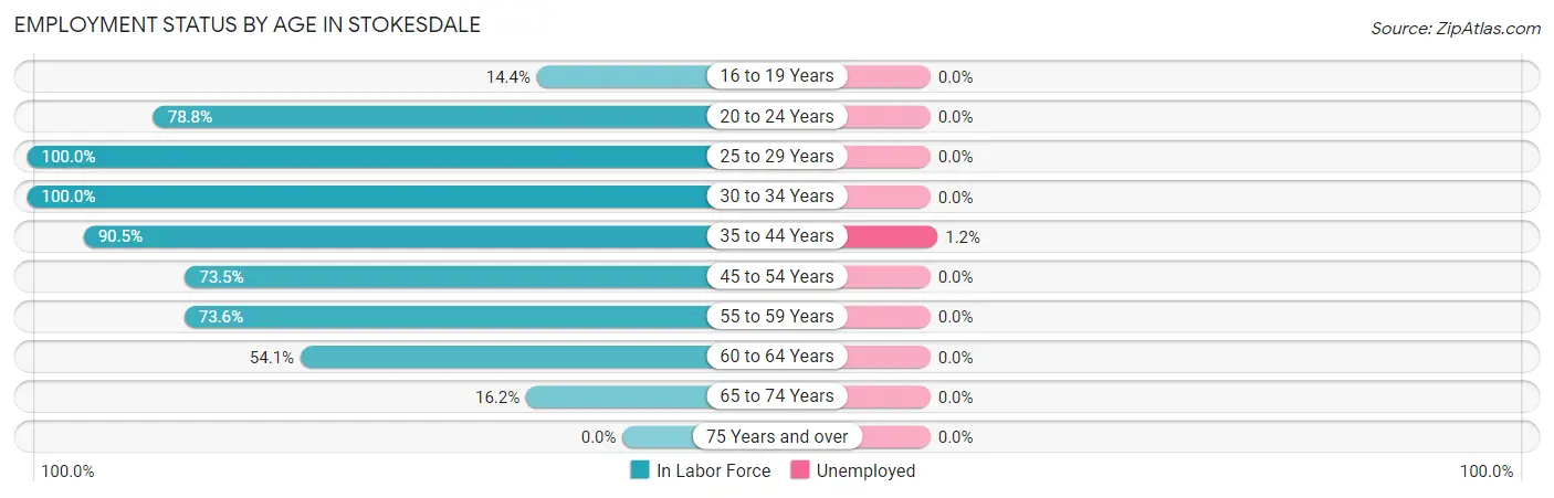 Employment Status by Age in Stokesdale