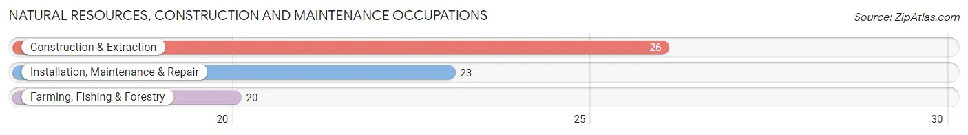 Natural Resources, Construction and Maintenance Occupations in Stokesdale