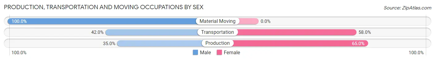 Production, Transportation and Moving Occupations by Sex in Summerfield