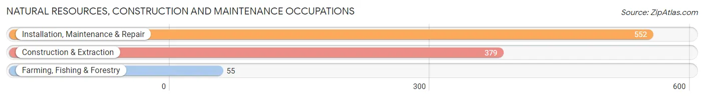 Natural Resources, Construction and Maintenance Occupations in Thomasville