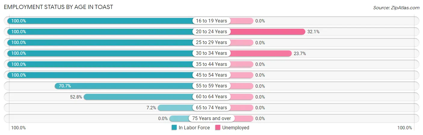 Employment Status by Age in Toast