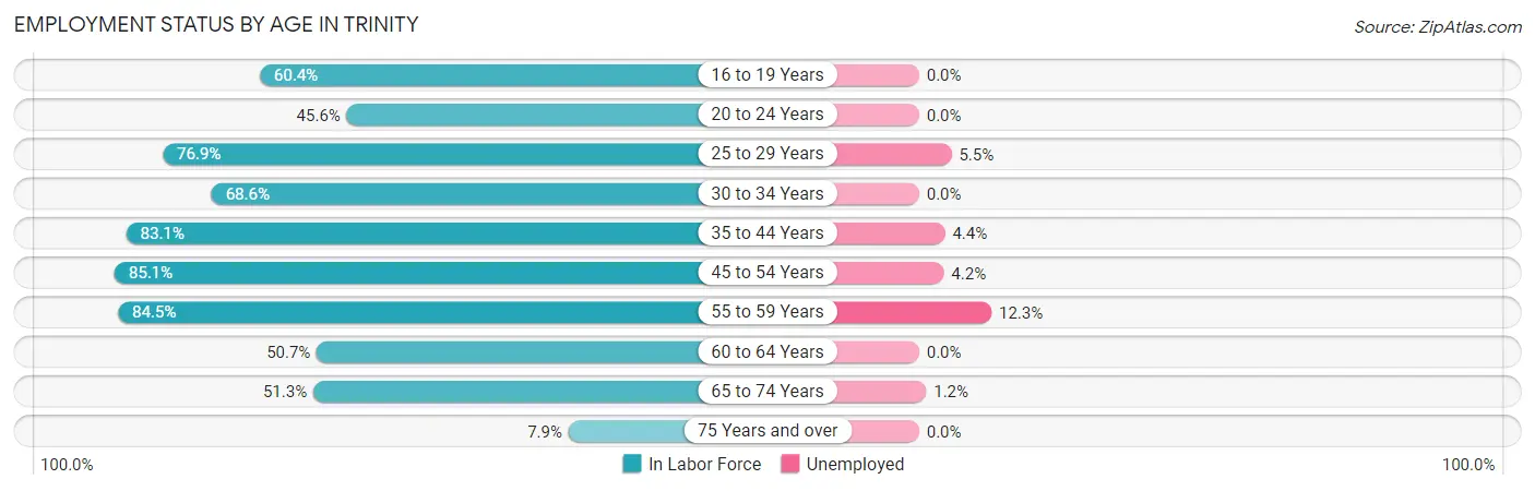 Employment Status by Age in Trinity
