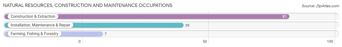 Natural Resources, Construction and Maintenance Occupations in Troutman