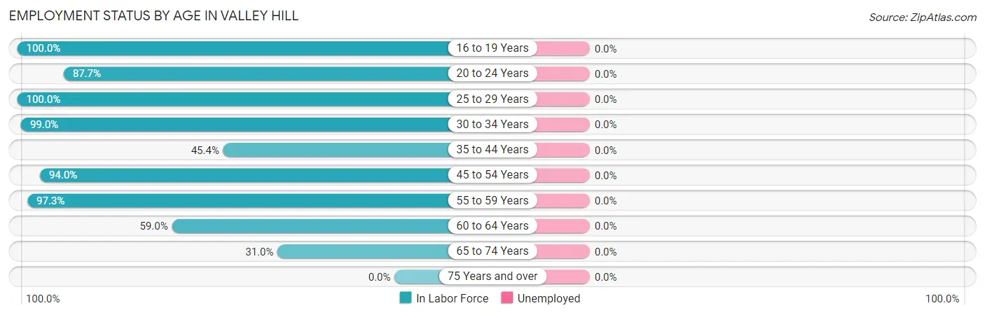 Employment Status by Age in Valley Hill