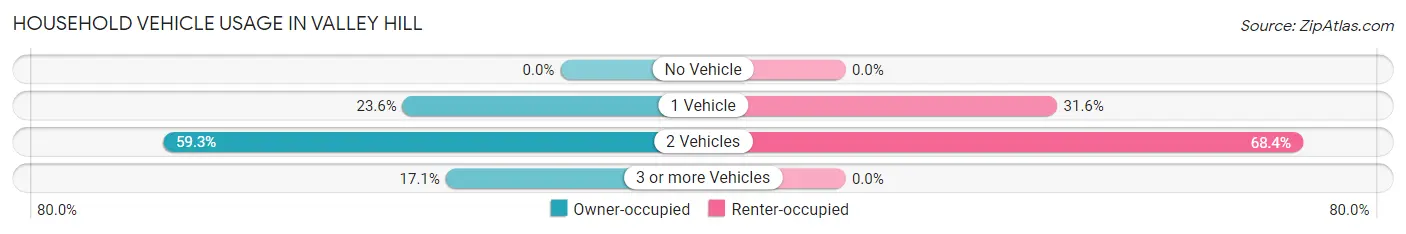 Household Vehicle Usage in Valley Hill