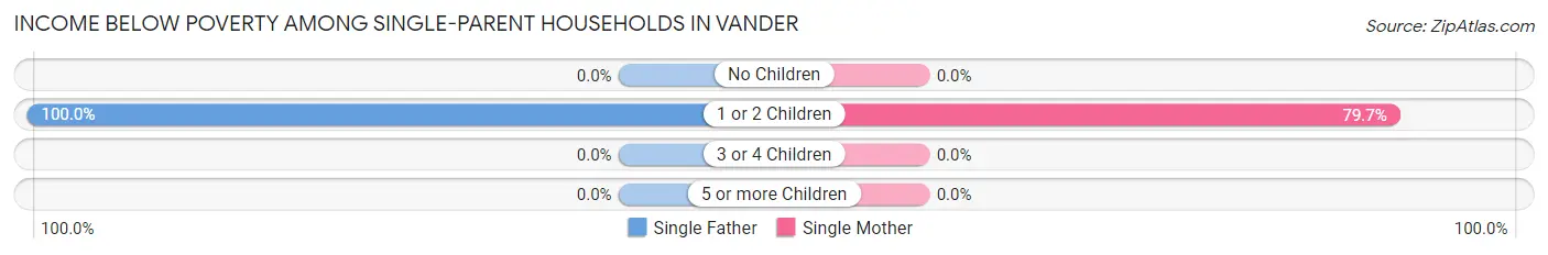 Income Below Poverty Among Single-Parent Households in Vander