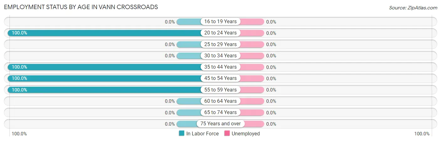 Employment Status by Age in Vann Crossroads
