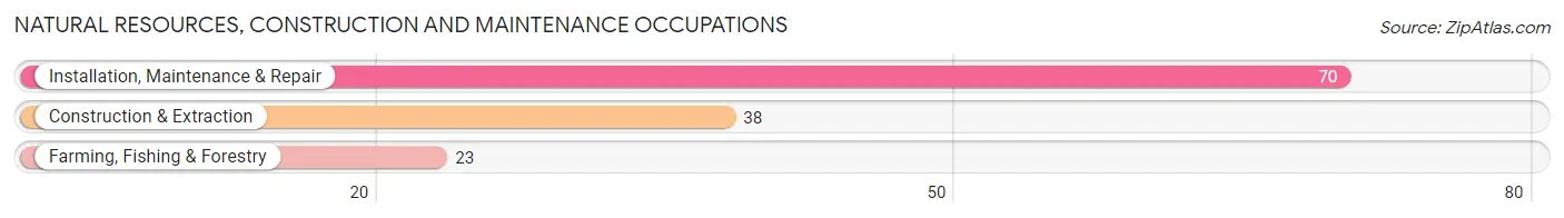 Natural Resources, Construction and Maintenance Occupations in Wadesboro