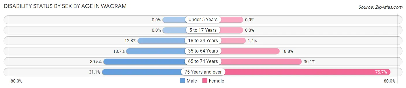 Disability Status by Sex by Age in Wagram