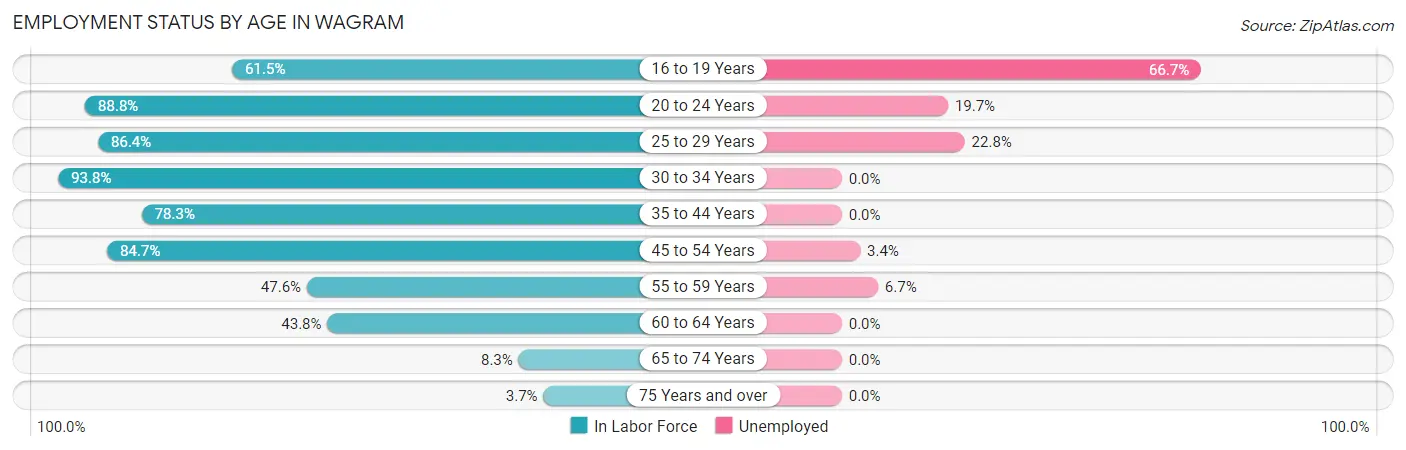 Employment Status by Age in Wagram
