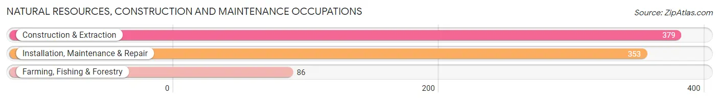 Natural Resources, Construction and Maintenance Occupations in Wake Forest