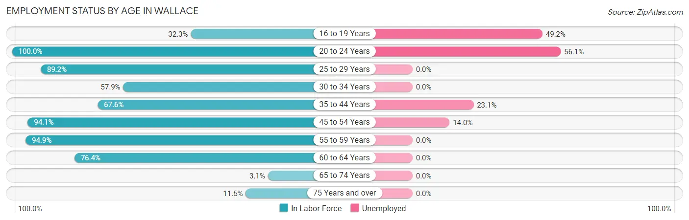 Employment Status by Age in Wallace